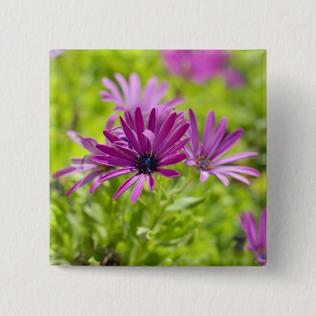 Badge Carré 5 Cm Bouton Fleur Faisy Africain (Devant)