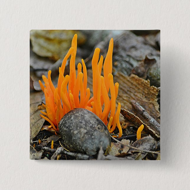 Badge Carré 5 Cm Bouton Funky Fungi (Devant)