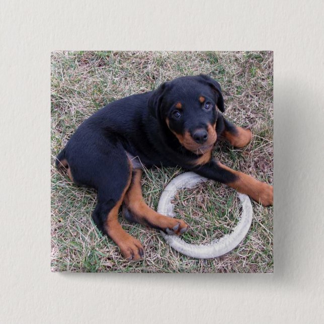 Badge Carré 5 Cm Bouton "Innocent" de Heidi Rottweiler (Devant)