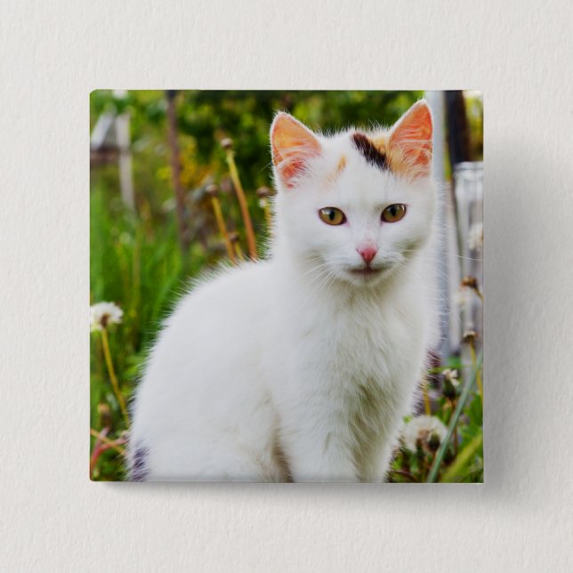 Badge Carré 5 Cm Bouton Kitten blanc (Devant)