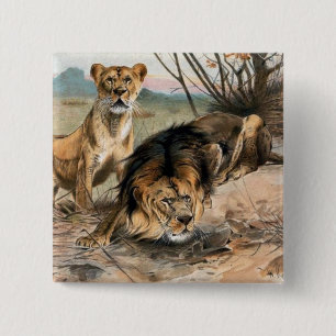 Badge Carré 5 Cm Bouton Lion vintage et Lioness