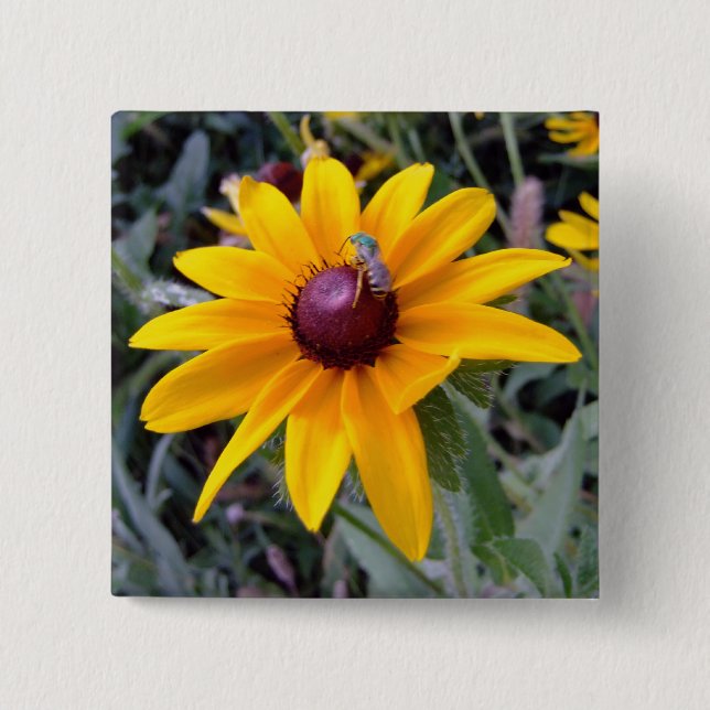 Badge Carré 5 Cm Bouton Noir-Eyed de Susan (Devant)