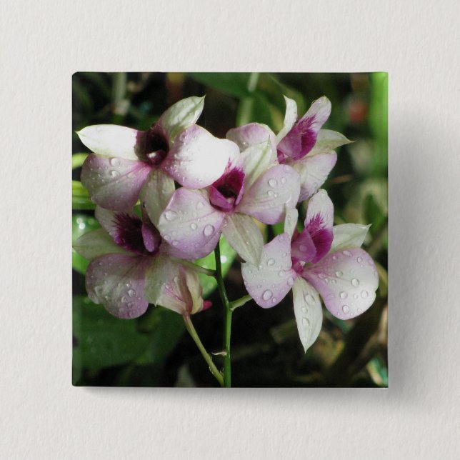 Badge Carré 5 Cm Bouton Orchidées (Devant)