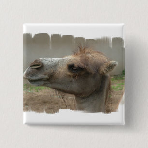 Badge Carré 5 Cm Bouton principal de chameau