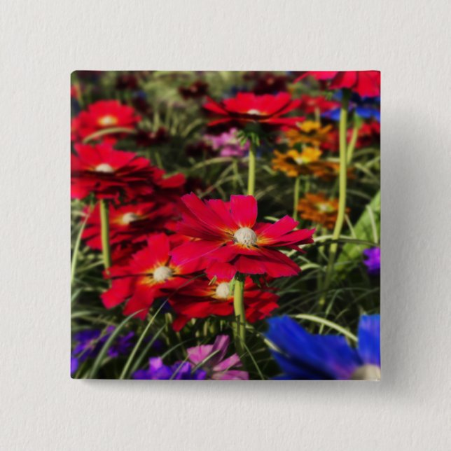 Badge Carré 5 Cm Bouton Ressort Iridescente (Devant)