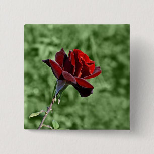 Badge Carré 5 Cm Bouton Rose Rouge