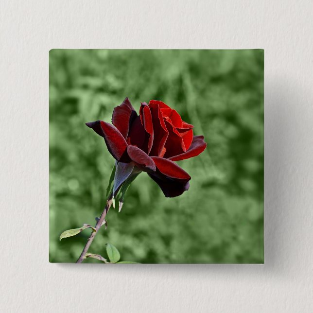 Badge Carré 5 Cm Bouton Rose Rouge (Devant)