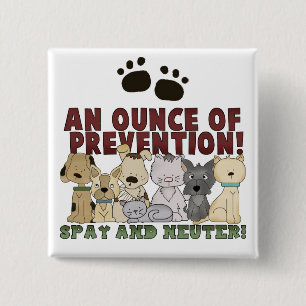 Badge Carré 5 Cm Bouton Spay and Neuter Your Pets