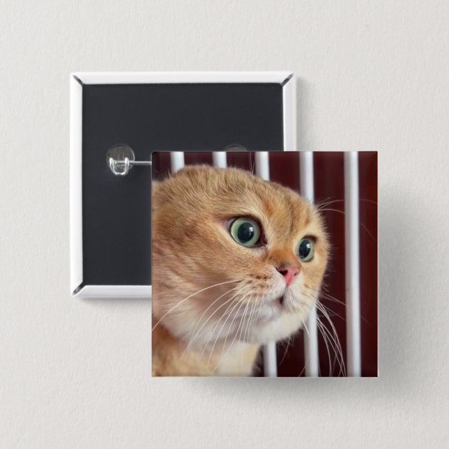 Badge Carré 5 Cm Bouton Talking Cats Meme Pin (Devant & derrière)