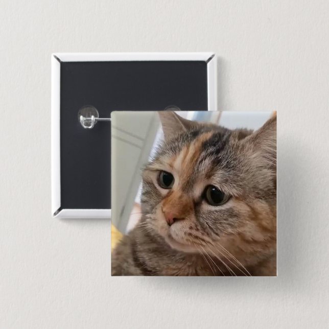 Badge Carré 5 Cm Bouton Talking Cats Meme Pin (Devant & derrière)