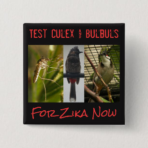 Badge Carré 5 Cm Bouton Test Culex & Bulbuls par RoseWrites