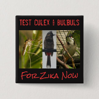 Badge Carré 5 Cm Bouton Test Culex & Bulbuls par RoseWrites