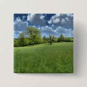 Badge Carré 5 Cm Bouton vert des Appalaches