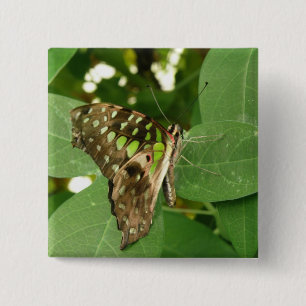 Badge Carré 5 Cm Bouton vert Iridescente Tropical