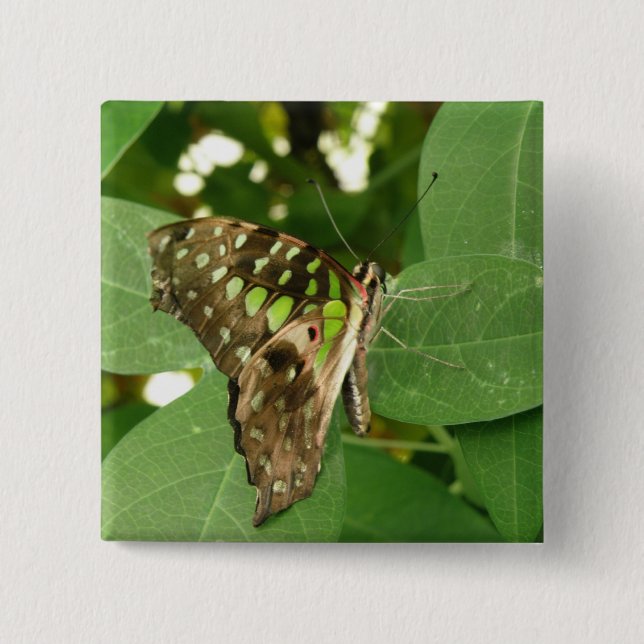 Badge Carré 5 Cm Bouton vert Iridescente Tropical (Devant)