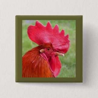 Badge Carré 5 Cm Bouton vivant de Coutry de coq rouge