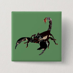Badge Carré 5 Cm Boutons Skorpion