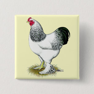 Badge Carré 5 Cm Brahma : Rooster léger