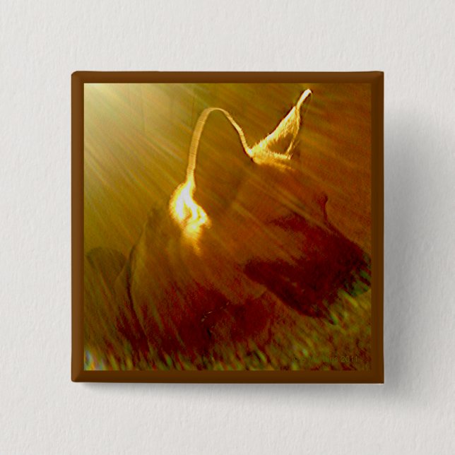 Badge Carré 5 Cm Brille Sur Moi Berger Allemand #1 (Devant)