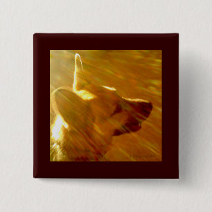 Badge Carré 5 Cm Brille Sur Moi Berger Allemand #2