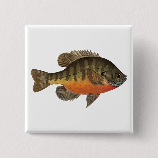 Badge Carré 5 Cm Brise de Bluegill (Devant)