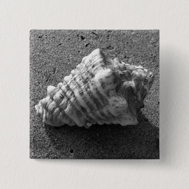 Badge Carré 5 Cm Broche à boutons Conch Seashell Sand Beach (Devant)