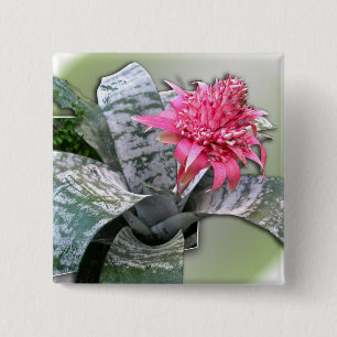 Badge Carré 5 Cm Broméliade rose