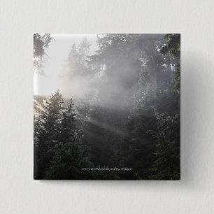 Badge Carré 5 Cm Brouillard et faisceaux de Sun dans une forêt de