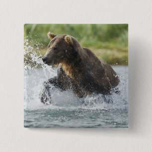 Badge Carré 5 Cm Brown Bear chasing salmon in river