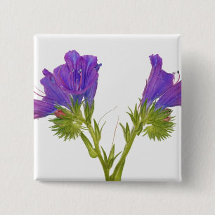 Badge Carré 5 Cm Bugloss pourpre de vipères (plantagineum d'echium)