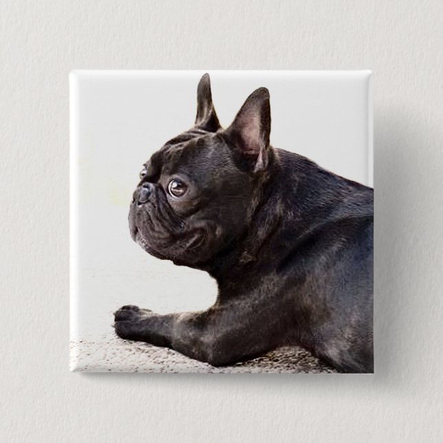 Badge Carré 5 Cm Bulldog français (Devant)