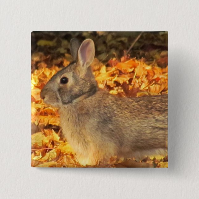Badge Carré 5 Cm Bunny d'automne (Devant)