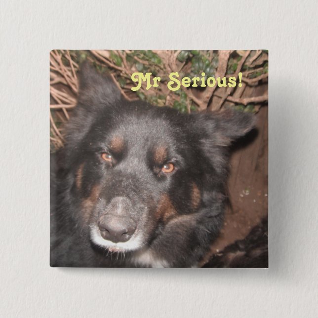 Badge Carré 5 Cm Button Husky Collie Cross (Devant)
