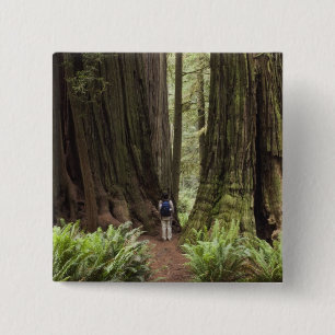Badge Carré 5 Cm CA, parc d'État de Redwoods Jedediah Smith,