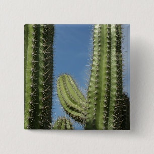 Badge Carré 5 Cm Cactus à baril I Photo du désert