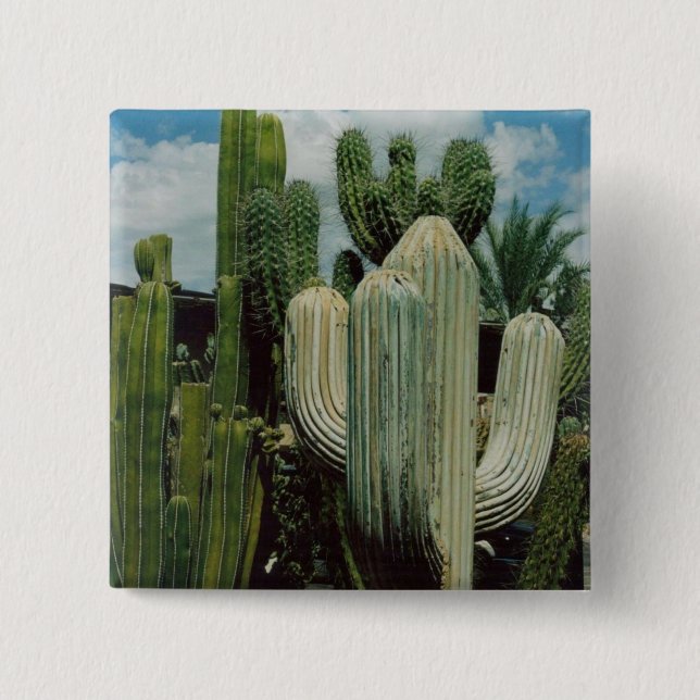 Badge Carré 5 Cm Cactus de l'Arizona (Devant)