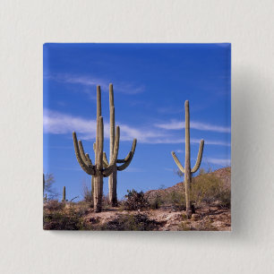 Badge Carré 5 Cm Cactus du Saguaro, géant multiarmé