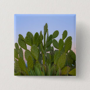 Badge Carré 5 Cm Cactus et sisal en forêt sèche