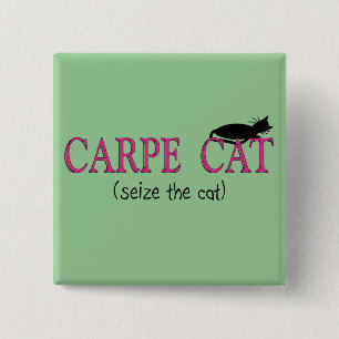 Badge Carré 5 Cm Cadeaux de chat de Carpe (saisissez le chat)
