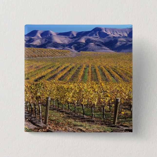 Badge Carré 5 Cm Californie, Comté de San Luis Obispo, vallée de l' (Devant)