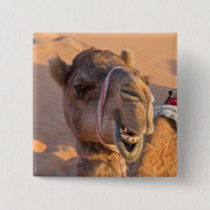 Badge Carré 5 Cm Camel amusant