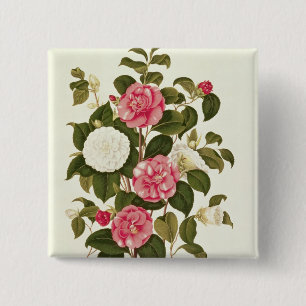 Badge Carré 5 Cm Camélia "d'une monographie sur les genres