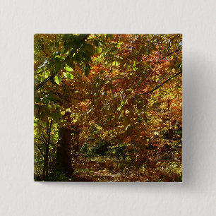 Badge Carré 5 Cm Canopée des Feuilles d'automne II Photographie d'a