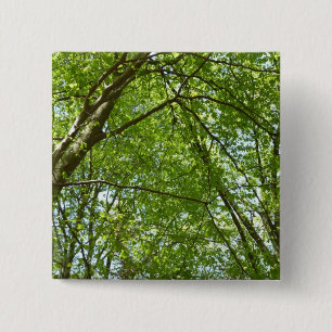 Badge Carré 5 Cm Canopée du printemps Feuille Green Nature Scene