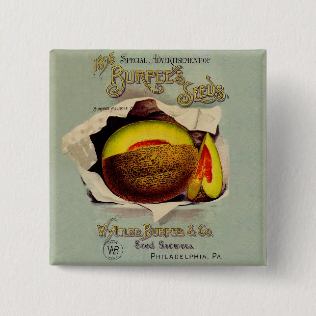 Badge Carré 5 Cm Cantaloupe Semences Publicité Art Antique (Devant)