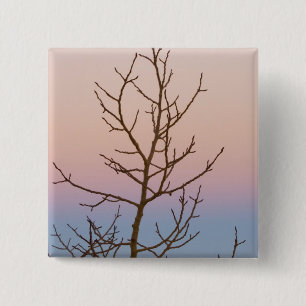 Badge Carré 5 Cm Canyon de Bryce, Utah. Arbre dénudé devant le couc
