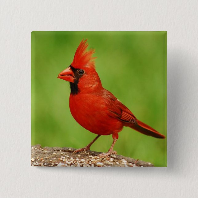 Badge Carré 5 Cm Cardinal (Devant)