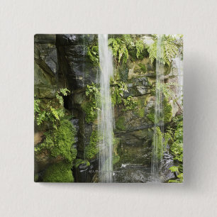 Badge Carré 5 Cm Cascade, forêt tropicale tempérée, Nouvelle