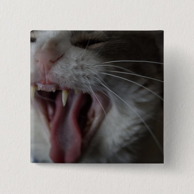 Badge Carré 5 Cm Cat Yawning (Devant)