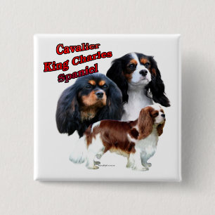 Badge Carré 5 Cm Cavalier King Charles Spaniel Trio 2 - Bouton